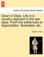 Down in Dixie. Life in a Cavalry Regiment in the War Days. from the Wilderness to Appomattox. Illustrated, Etc.