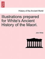 Illustrations Prepared for White's Ancient History of the Maori.