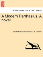 Modern Parrhasius. a Novel.