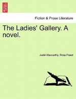 Ladies' Gallery. a Novel.