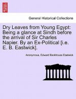 Dry Leaves from Young Egypt