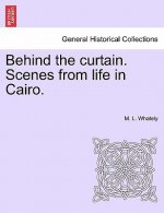 Behind the Curtain. Scenes from Life in Cairo.