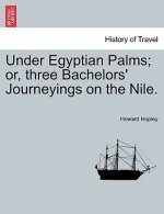 Under Egyptian Palms; Or, Three Bachelors' Journeyings on the Nile.