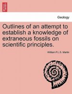 Outlines of an Attempt to Establish a Knowledge of Extraneous Fossils on Scientific Principles.