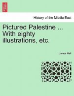 Pictured Palestine ... with Eighty Illustrations, Etc.