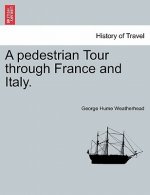 Pedestrian Tour Through France and Italy.