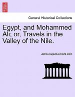 Egypt, and Mohammed Ali; Or, Travels in the Valley of the Nile. Vol. I