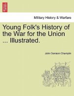 Young Folk's History of the War for the Union ... Illustrated.