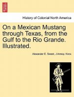 On a Mexican Mustang through Texas, from the Gulf to the Rio Grande. Illustrated.