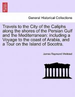 Travels to the City of the Caliphs Along the Shores of the Persian Gulf and the Mediterranean