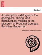 Descriptive Catalogue of the Geological, Mining, and Metallurgical Models in the Museum of Practical Geology. by Hilary Bauerman.