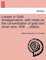 Losses in Gold Amalgamation