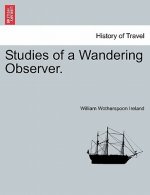 Studies of a Wandering Observer.