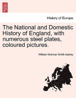 National and Domestic History of England, with Numerous Steel Plates, Coloured Pictures.