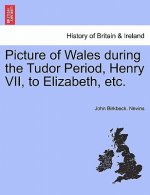 Picture of Wales During the Tudor Period, Henry VII, to Elizabeth, Etc.