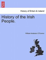 History of the Irish People.