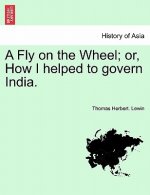 Fly on the Wheel; Or, How I Helped to Govern India.