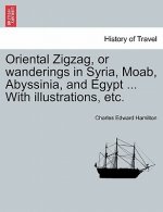 Oriental Zigzag, or Wanderings in Syria, Moab, Abyssinia, and Egypt ... with Illustrations, Etc.