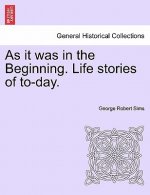 As It Was in the Beginning. Life Stories of To-Day.
