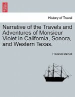 Narrative of the Travels and Adventures of Monsieur Violet in California, Sonora, and Western Texas.