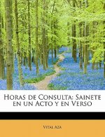 Horas de Consulta