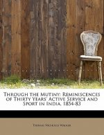 Through the Mutiny