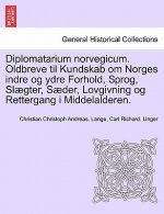 Diplomatarium Norvegicum. Oldbreve Til Kundskab Om Norges Indre Og Ydre Forhold, Sprog, Slaegter, Saeder, Lovgivning Og Rettergang I Middelalderen. Fj