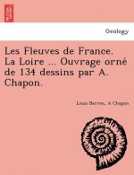 Les Fleuves de France. La Loire ... Ouvrage orné de 134 dessins par A. Chapon.