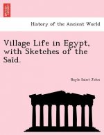 Village Life in Egypt, with Sketches of the Sai D.