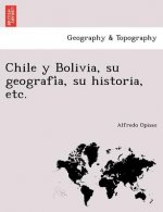 Chile y Bolivia, su geografía, su historia, etc.