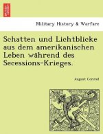 Schatten und Lichtblicke aus dem amerikanischen Leben während des Secessions-Krieges.