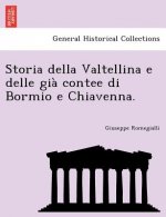 Storia della Valtellina e delle gia contee di Bormio e Chiavenna.