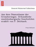 Aus Dem Stammhause Der Grossherzogin. Urkundliche Mecklenburgische Geschichten Erzahlt Von F. Delitzsch.