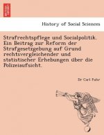 Strafrechtspflege Und Socialpolitik. Ein Beitrag Zur Reform Der Strafgesetzgebung Auf Grund Rechtsvergleichender Und Statistischer Erhebungen U Ber Di