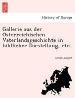 Gallerie Aus Der O Sterreichischen Vaterlandsgeschichte in Bildlicher Darstellung, Etc.