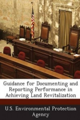 Guidance for Documenting and Reporting Performance in Achieving Land Revitalization