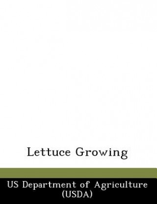 Lettuce Growing