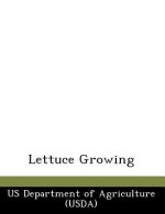 Lettuce Growing