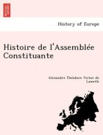 Histoire de l'Assemblee Constituante