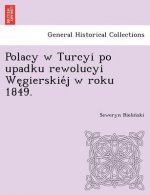 Polacy W Turcyi Po Upadku Rewolucyi We Gierskie J W Roku 1849.