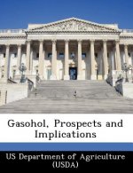 Gasohol, Prospects and Implications