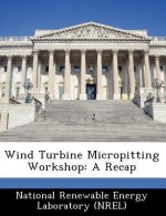 Wind Turbine Micropitting Workshop