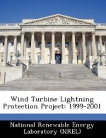 Wind Turbine Lightning Protection Project