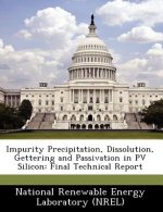 Impurity Precipitation, Dissolution, Gettering and Passivation in Pv Silicon