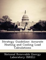 Strategy Guideline