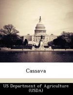 Cassava