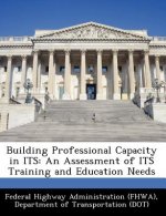 Building Professional Capacity in Its