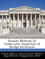 Remote Methods of Underwater Inspection of Bridge Structures