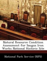 Natural Resource Condition Assessment for Saugus Iron Works National Historic Site