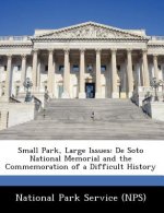 Small Park, Large Issues